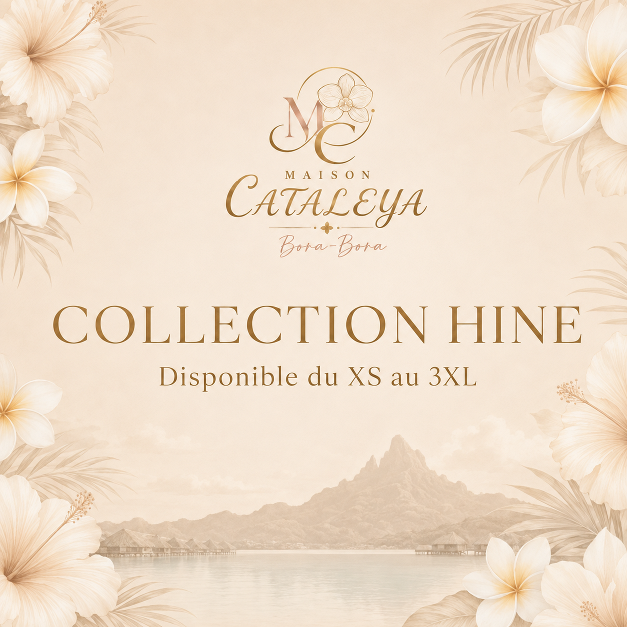 Collection HINE